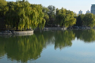 公园风景 