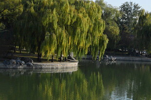 公园风景  