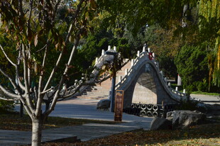 公园风景  