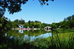 公园风景 