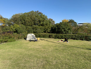 户外草地露营场景