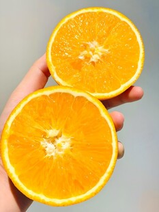 橙子