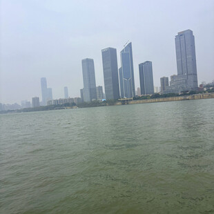 江边高楼林立的城市景观