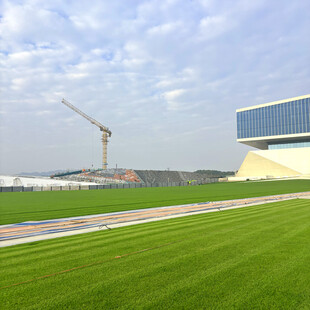 现代建筑旁的翠绿草坪