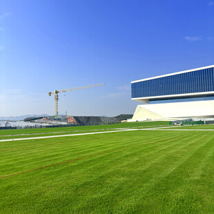 现代建筑旁的翠绿草坪