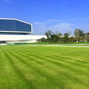 现代建筑旁的翠绿草坪
