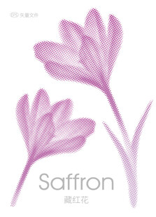 两朵优雅的紫色藏红花