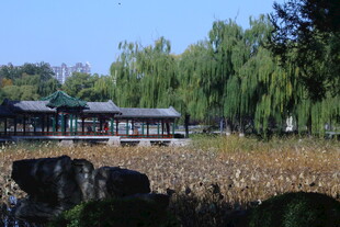 公园风景  