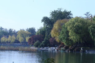 公园风景 