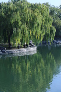 公园风景 