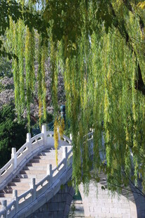 公园风景  