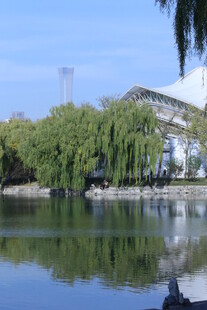 公园风景 