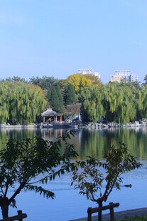 公园风景 