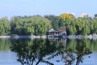 龙潭湖风景  