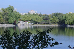 公园风景 