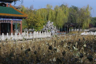 公园风景  
