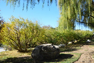 公园风景 