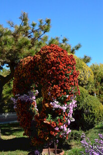 公园风景 