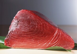 新鲜金枪鱼肉块