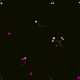 黑色背景上的多彩抽象图案