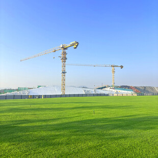 绿地上的塔式起重机