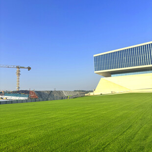 绿草如茵旁的现代建筑