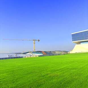 城市绿地旁的建筑施工场景