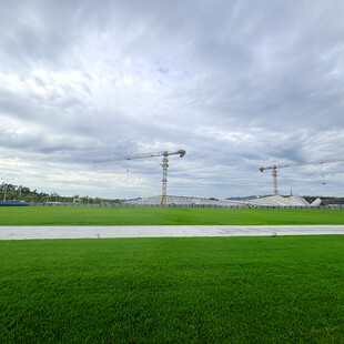 绿茵场上的塔吊