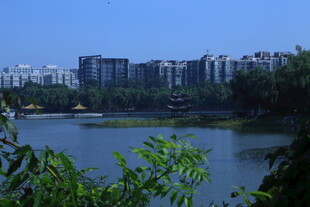 公园风景  