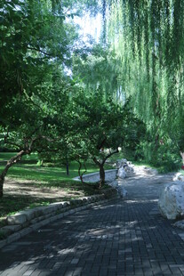 公园风景  