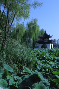 公园风景 