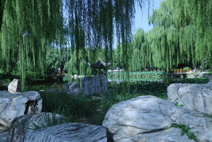 公园风景  