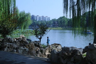 公园风景 
