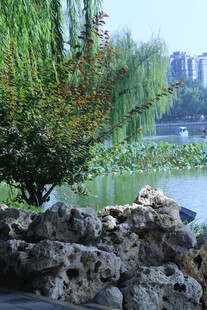 公园风景  