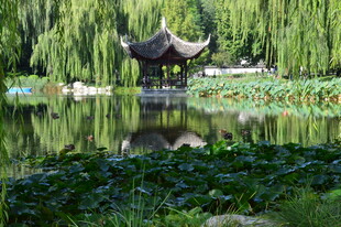 公园风景  