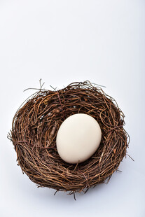 新鲜鸡蛋