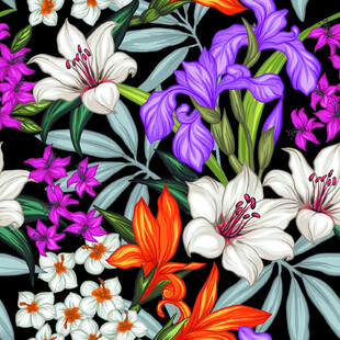 花卉 百合 线条 层次