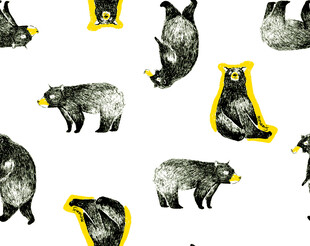 狗熊 卡通 大牌