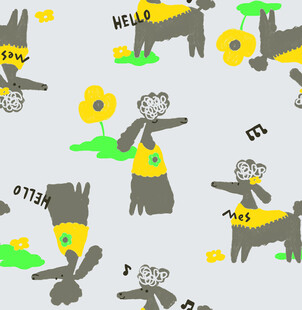 可爱 小狗 贵宾犬