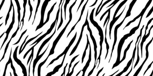 黑白斑马纹图案纹理