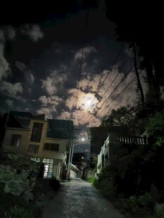 月夜下的静谧乡村小道