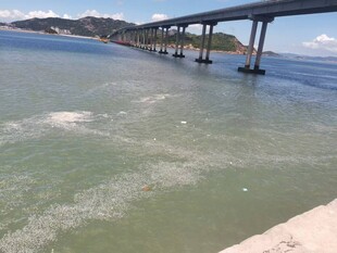 海边桥梁下的清澈海水