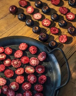 红果参