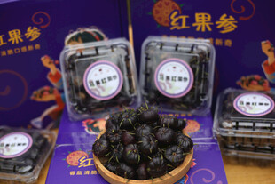 红果参