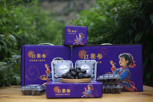 红果参