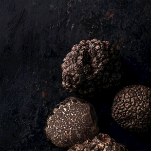 黑松露