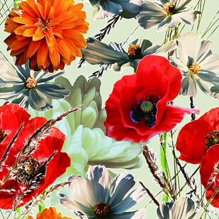 大花 红花 色彩