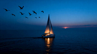 夜幕下的帆船与飞鸟