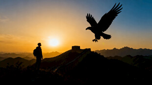 夕阳下人与雄鹰的壮丽景象