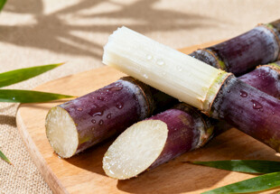 紫皮甘蔗切段摆于木盘上